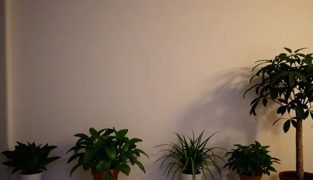 物流设备性能优化：选型与使用的关键环节